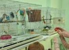 Воспитанники старшей группы посетили живой уголок